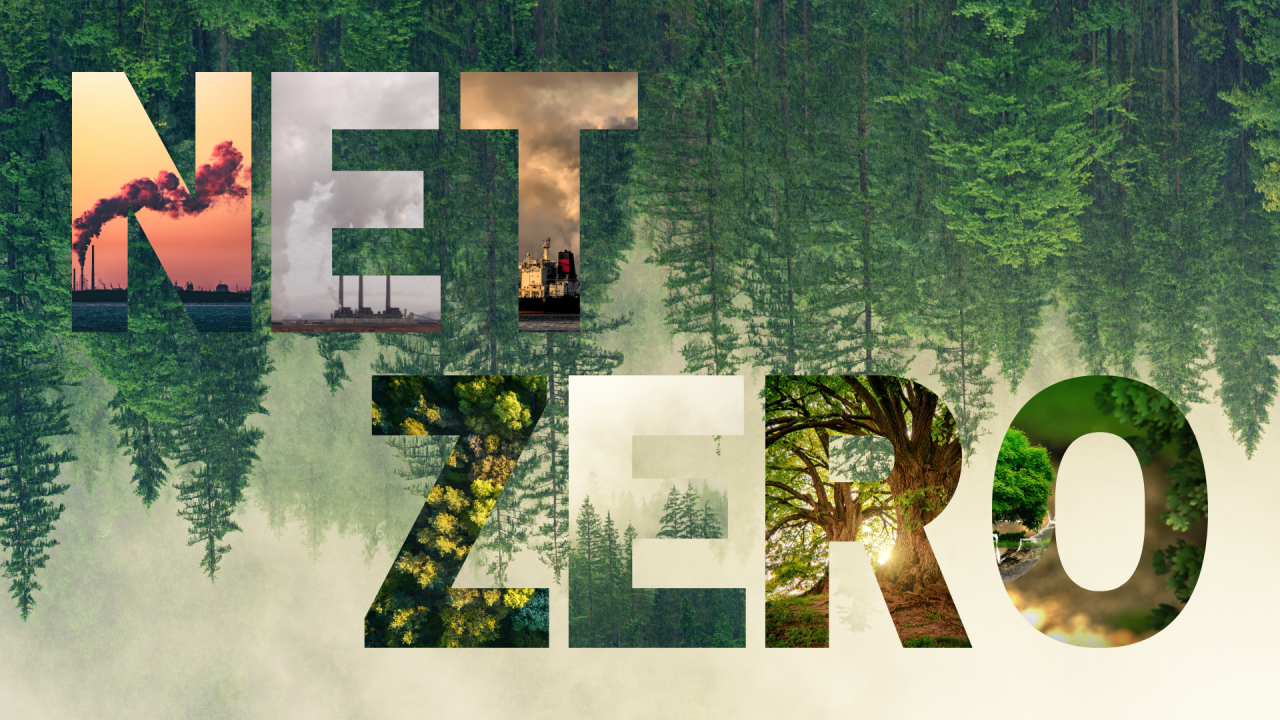  'NOT ZERO NET ZERO' PLEDGE FOR ACHIEVING CARBON NEUTRALITY